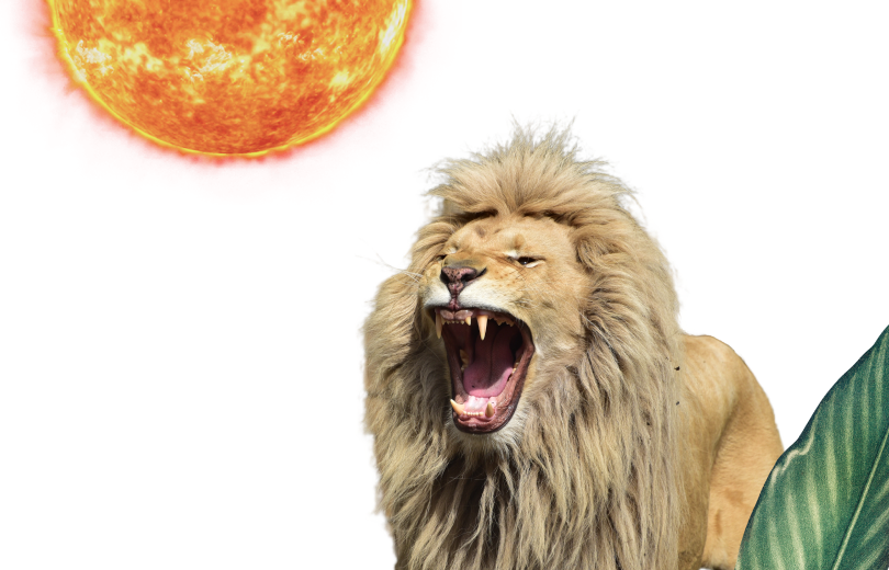 sol