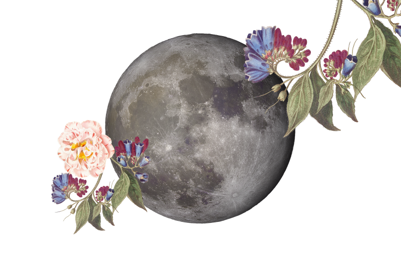 luna